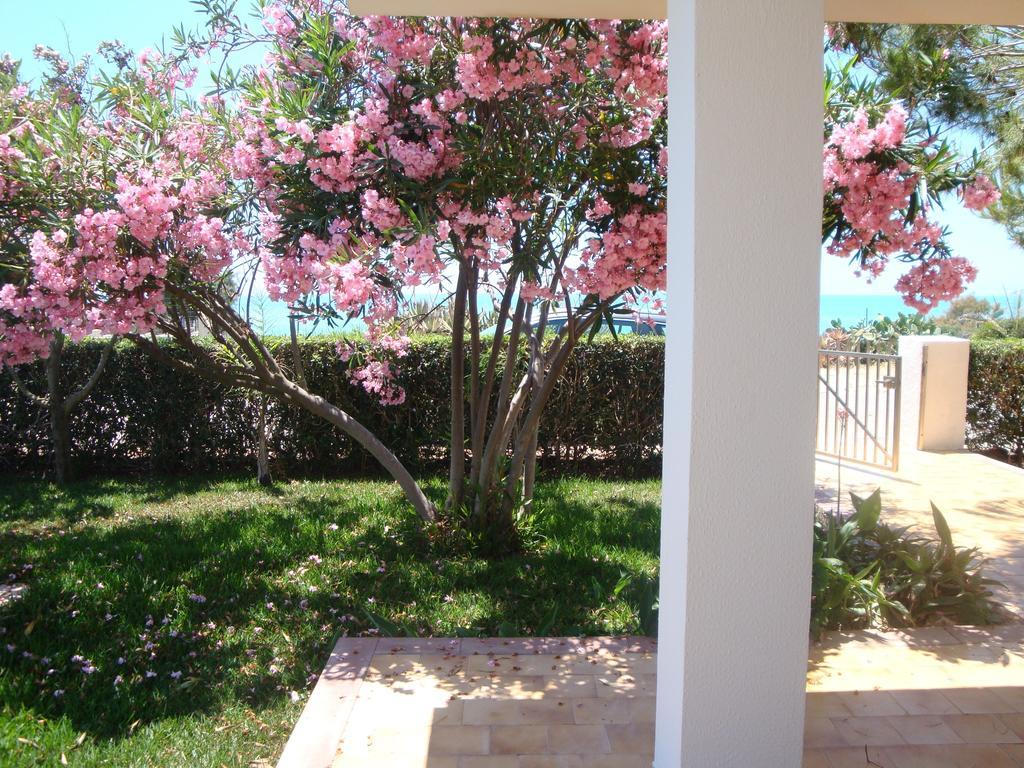 Cala Vigliena Il Sole Negli Occhi Villa Punta Braccetto Kamer foto