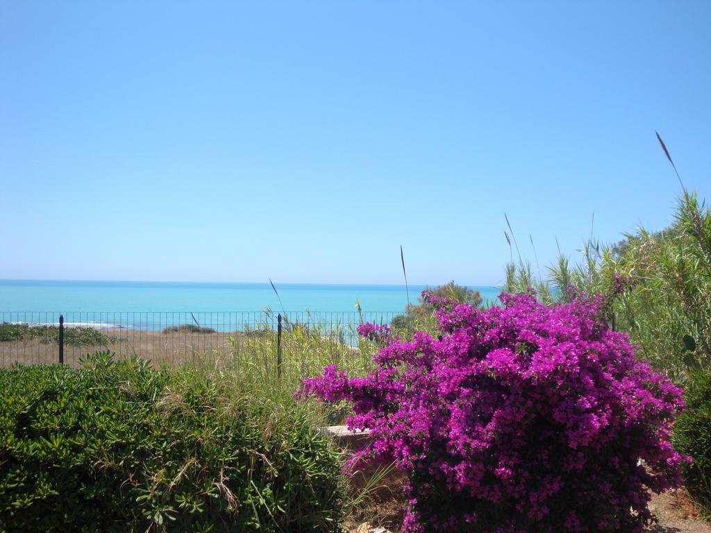 Cala Vigliena Il Sole Negli Occhi Villa Punta Braccetto Kamer foto
