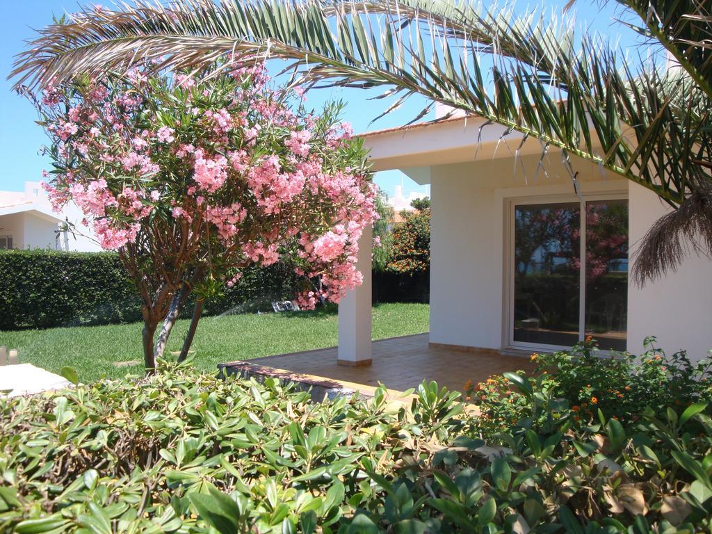 Cala Vigliena Il Sole Negli Occhi Villa Punta Braccetto Kamer foto